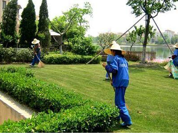 綠化養(yǎng)護(hù)案例